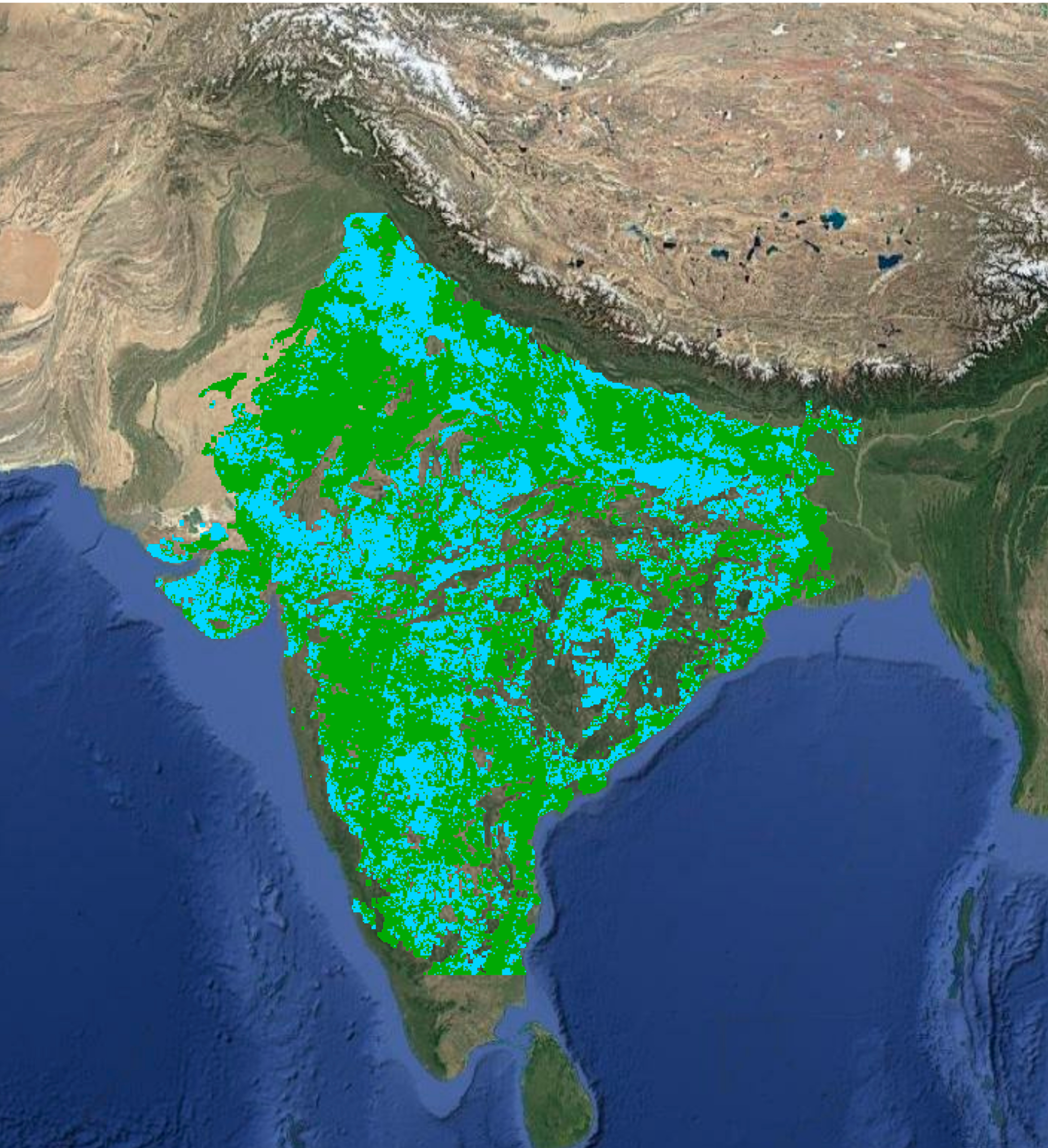 irrigation condition